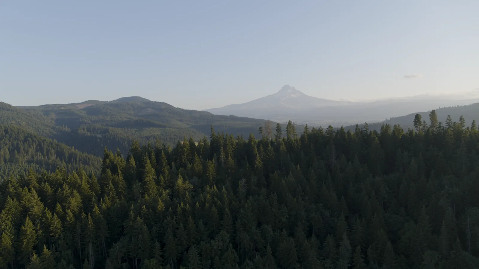 Aerial view over forested ridges with a snow-capped peak on the horizon